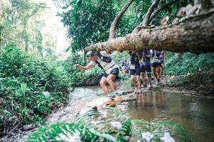 BIB: 
                            <button type="button" onclick="openModal(25460372)" class="btn btn-primary btn-sm float-right btn-popup" data-toggle="modal" data-target=".modal-high-quality">
                        <i class="fas fa-shopping-cart"></i> Add to Cart
                    </button>
                                            <button type="button" onclick="isThisMe(25460372, true)" class="btn btn-success btn-sm float-right btn-popup btn-isme hidden" data-toggle="tooltip" data-placement="bottom" title="นี่คือรูปของคุณใช่ไหม คลิกที่นี่เพื่อเอาเข้าอัลบั้ม">
                        <i class="fas fa-plus"></i> Add to album
                    </button>
                    <button type="button" onclick="isThisMe(25460372, false)" class="btn btn-warning btn-sm float-right btn-popup btn-isnotme hidden">
                        <i class="fas fa-ban"></i> Remove from album
                    </button>